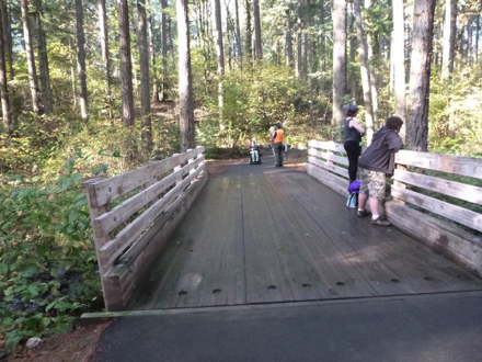 Wooden bridge with smooth transition from paved trail crosses Johnston Creek